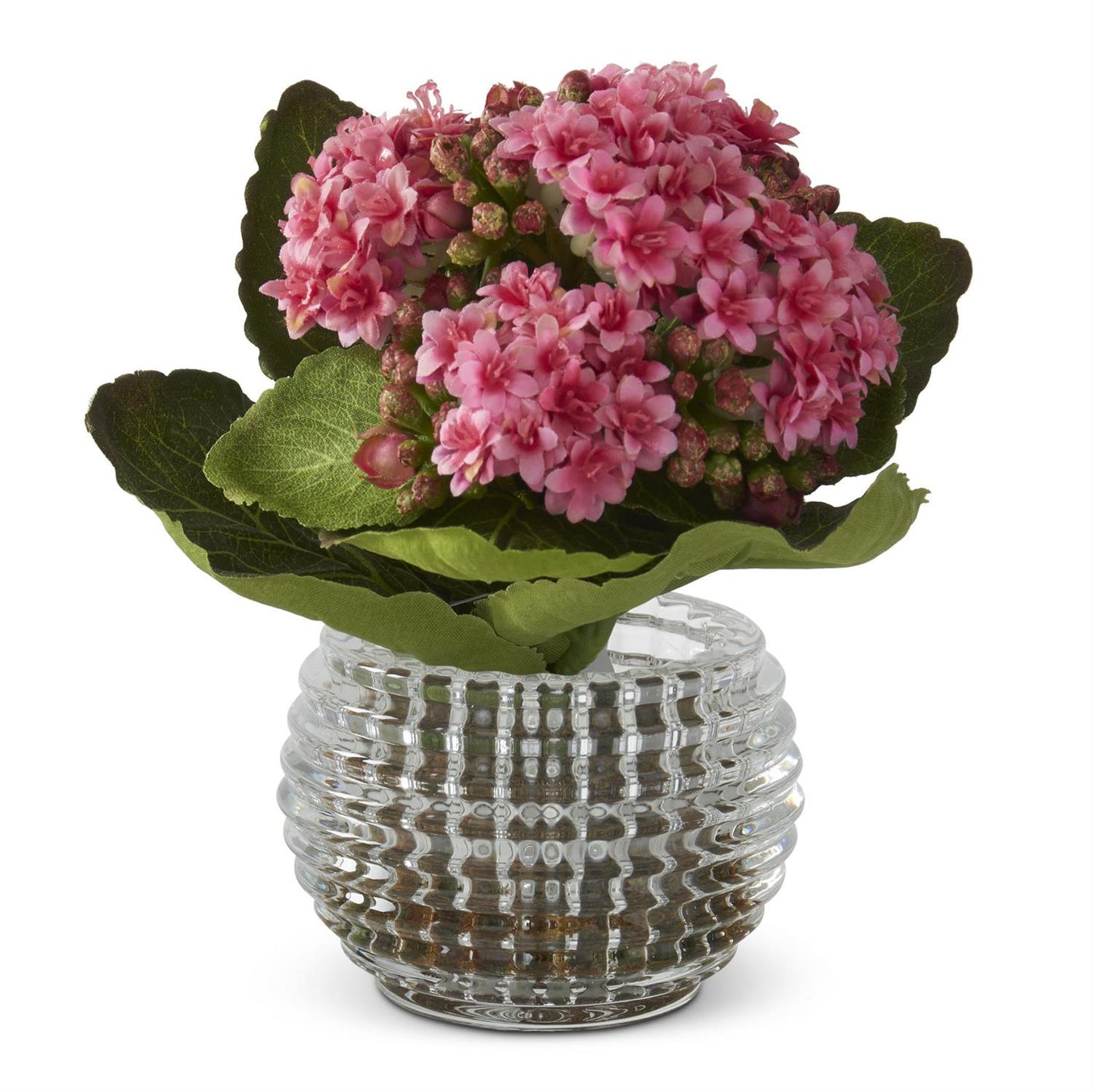 7.5" Pink Kalanchoe Premade in Pressed Glass Vase w/ Faux Moss