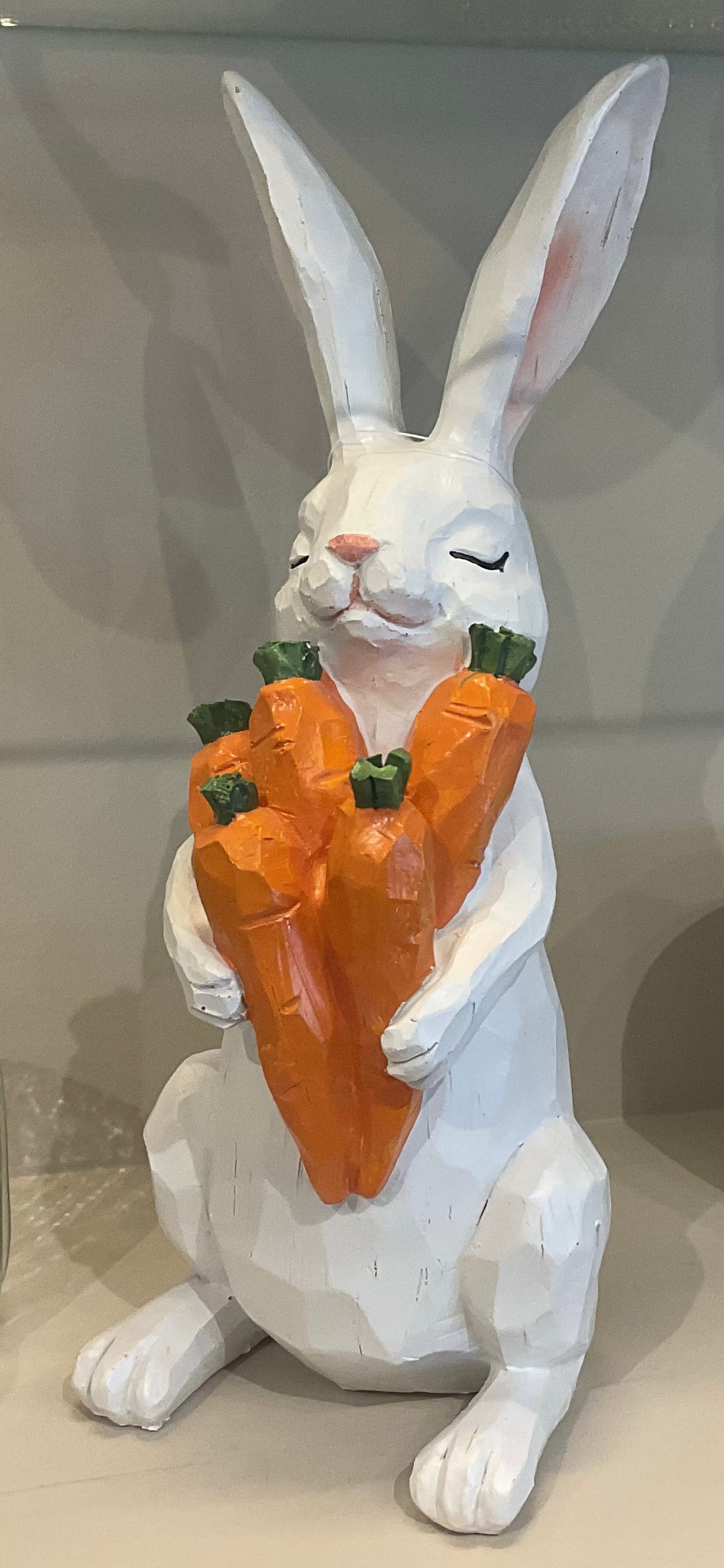 Bunny with carrots