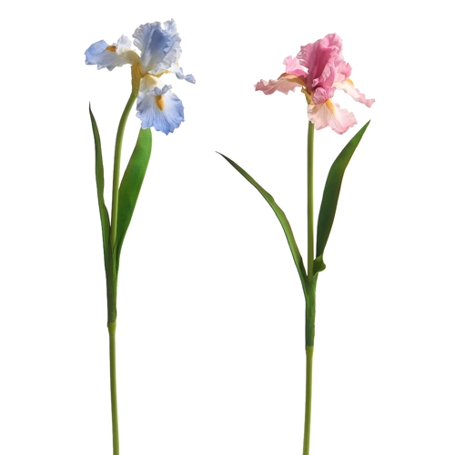 31” Real Touch Iris