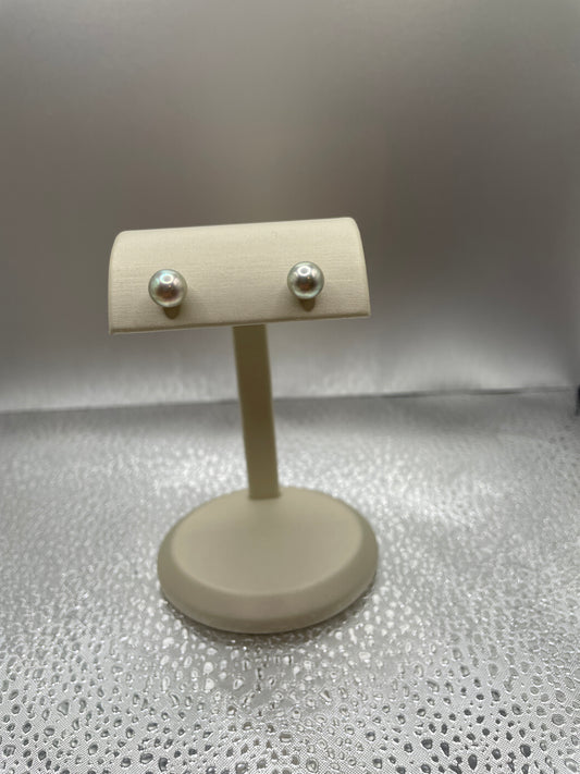 Grey Cultured Pearl Stud Earrings