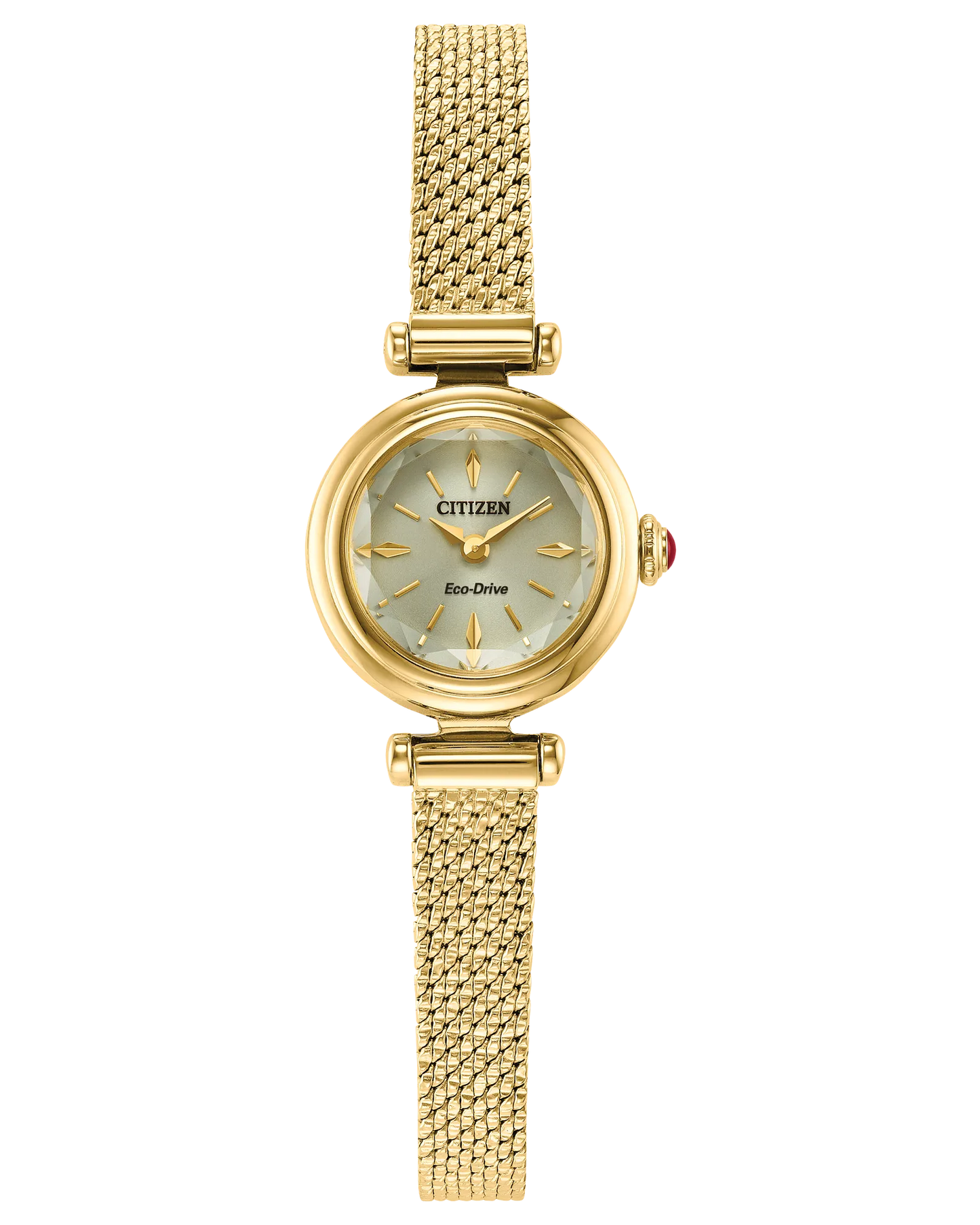 Fio Ladies Watch