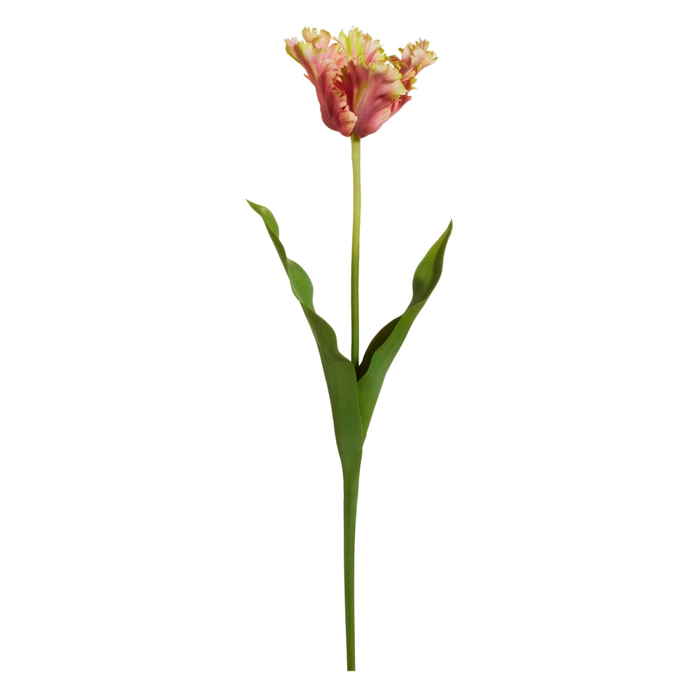 Pink Green Tulip Bouquet