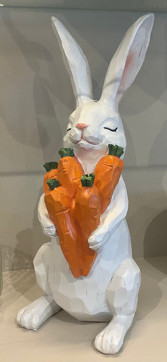 Bunny with carrots