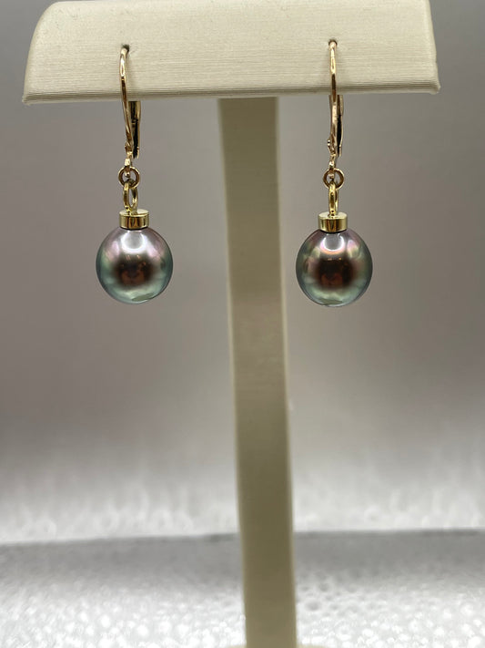 Tahitian Pearl Leverback Earrings in Gold